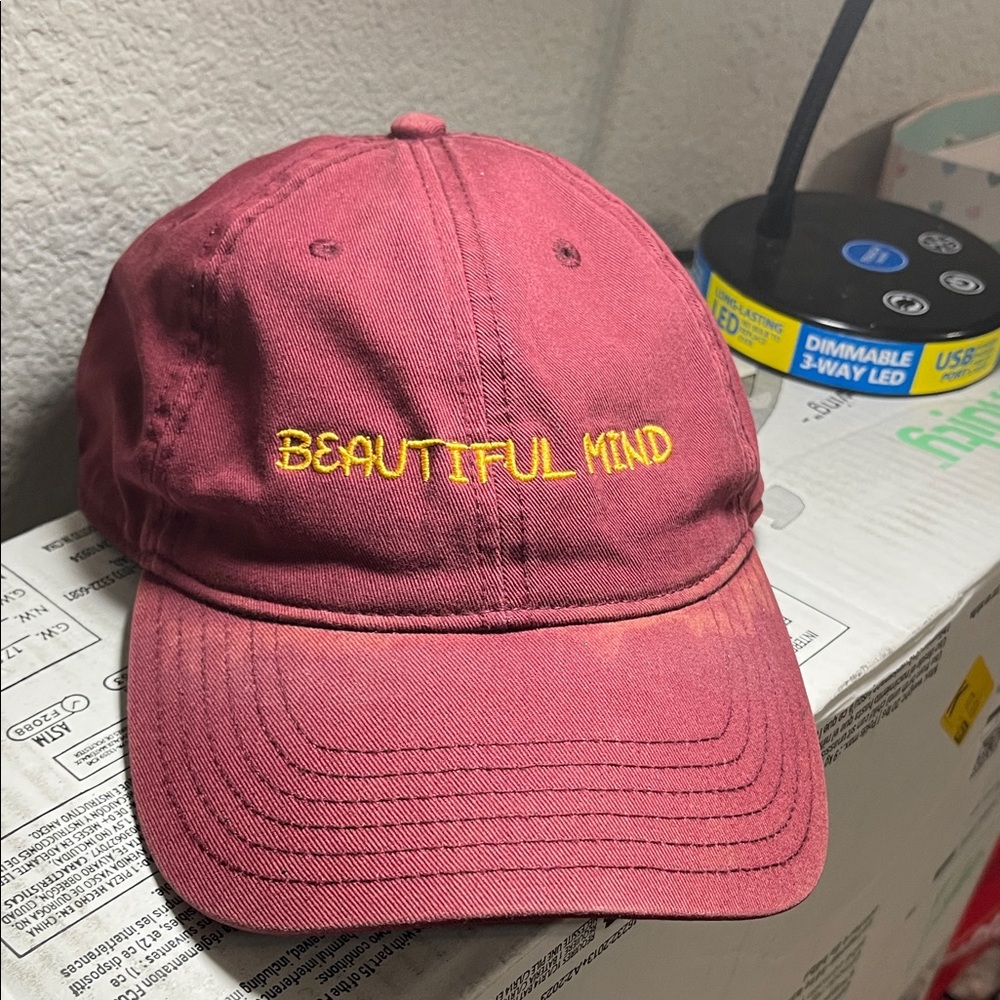 Beautiful Mind Hat